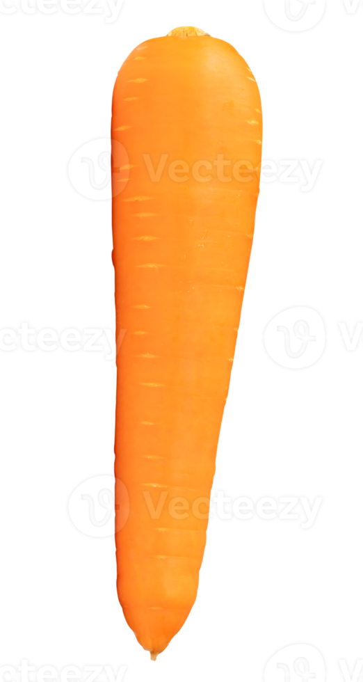 Top view of fresh orange carrot isolated with clipping path in file format png