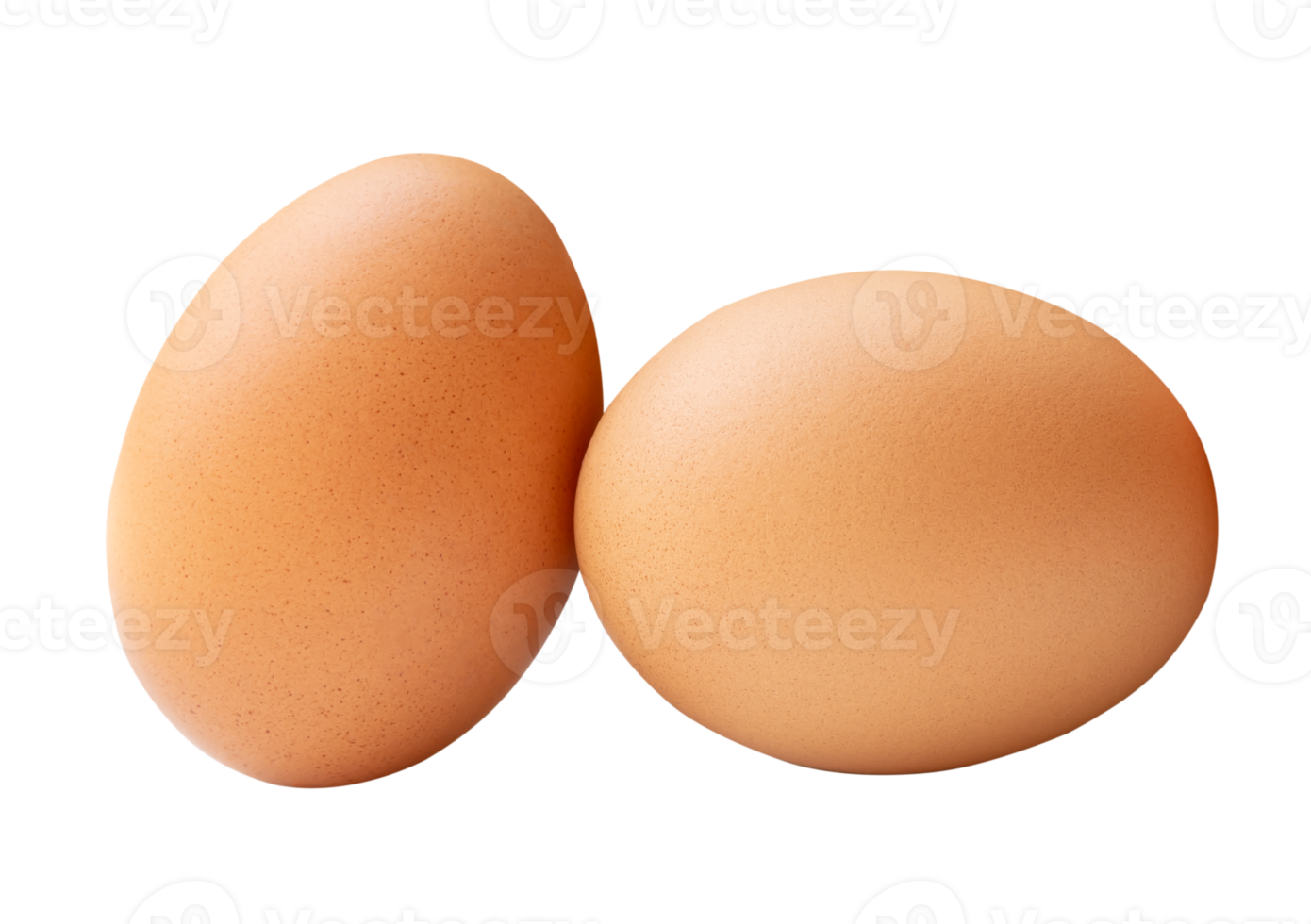 Two fresh brown chicken eggs in stack isolated with clipping path in file format png