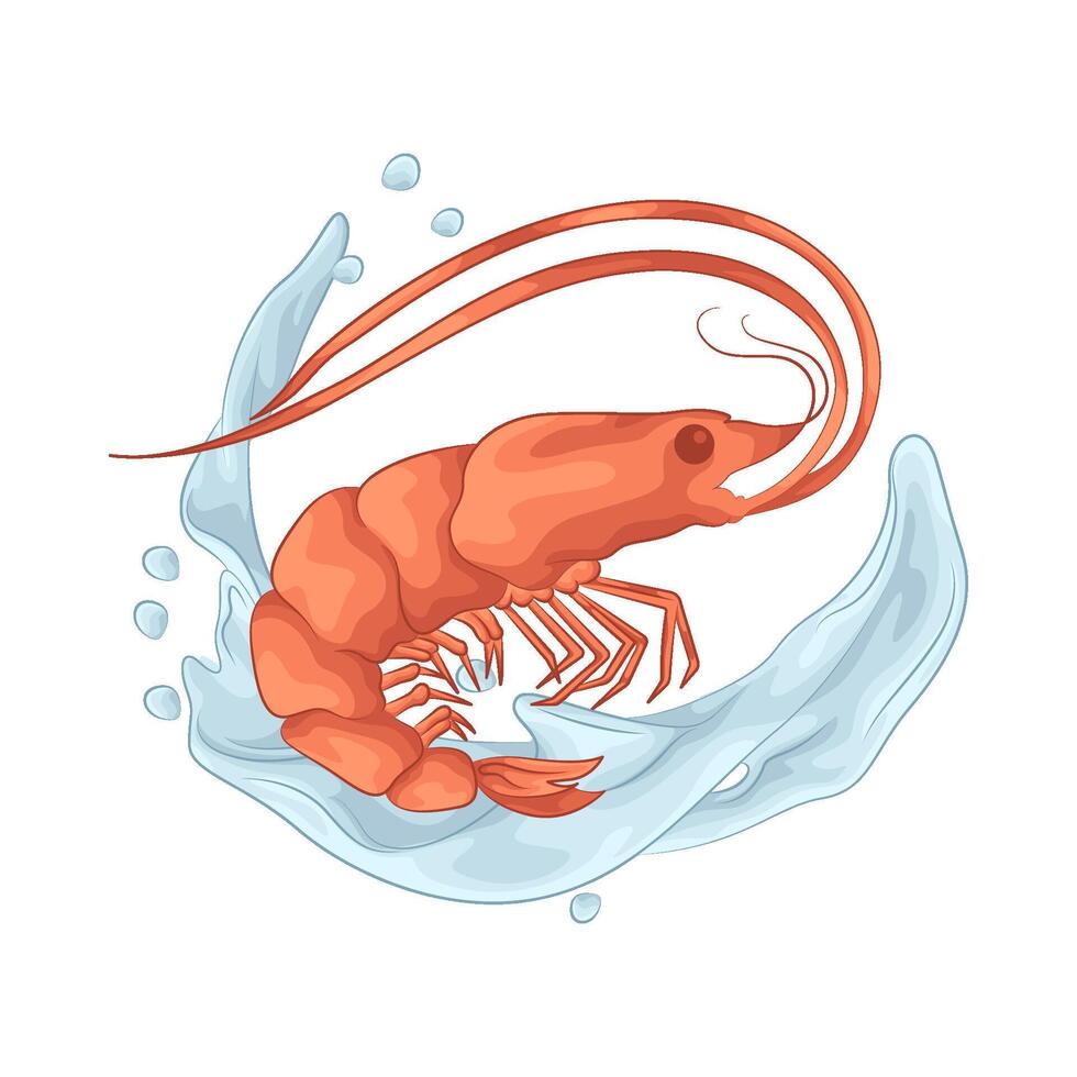 Fresh Shrimp from the Sea illustration vector