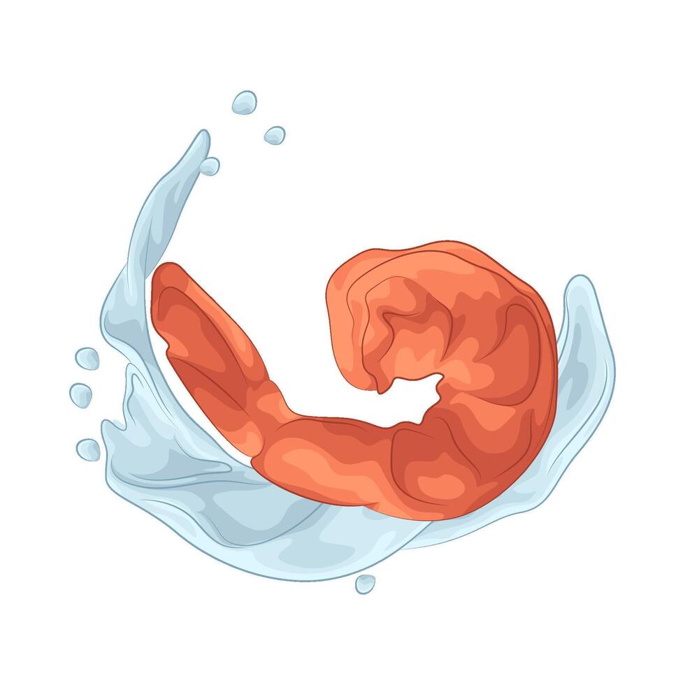 Raw Headless Shrimp illustration vector
