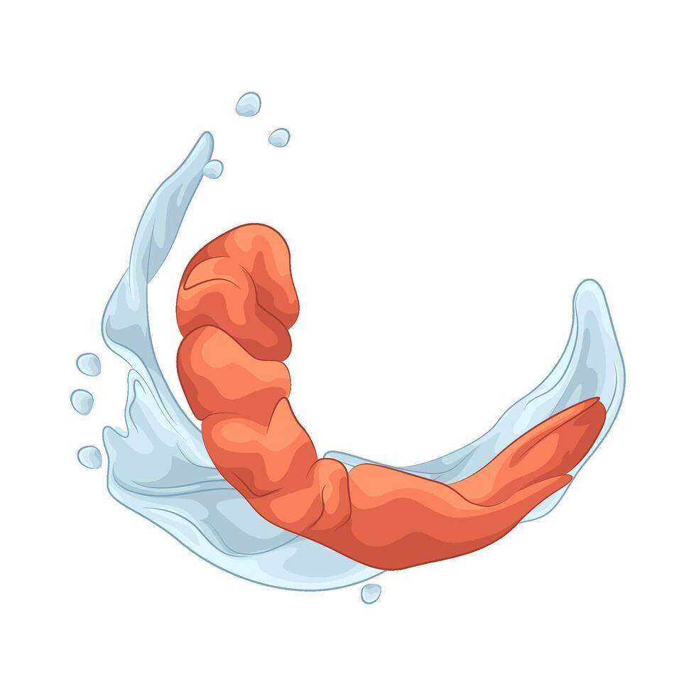 illustration of Raw Headless Shrimp vector