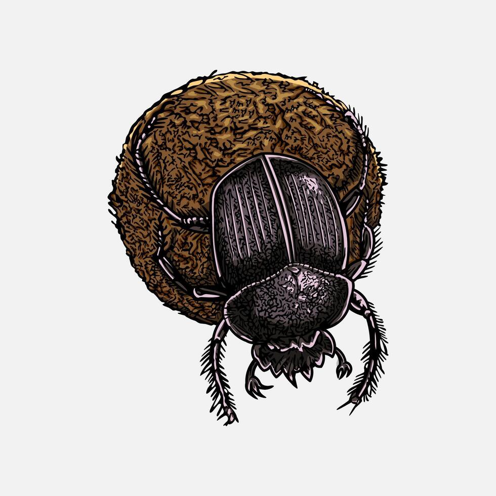 Dung beetle hand drawn artwork illustration vector