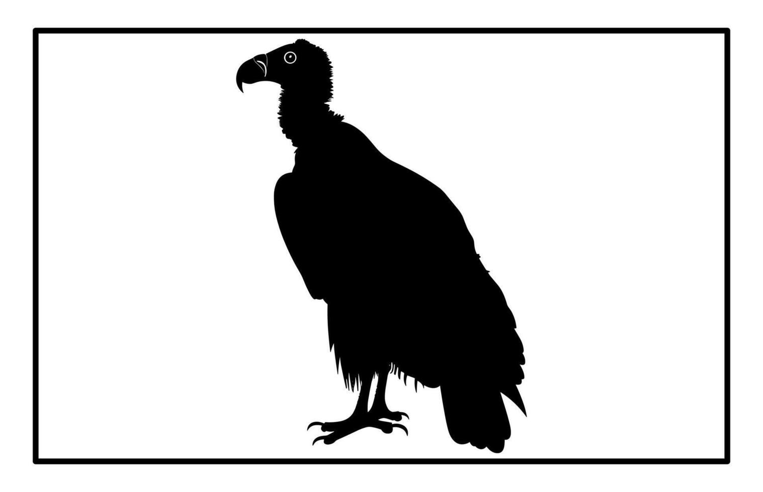 vultur silhouette set design, silhouette of a flying vulture. vector