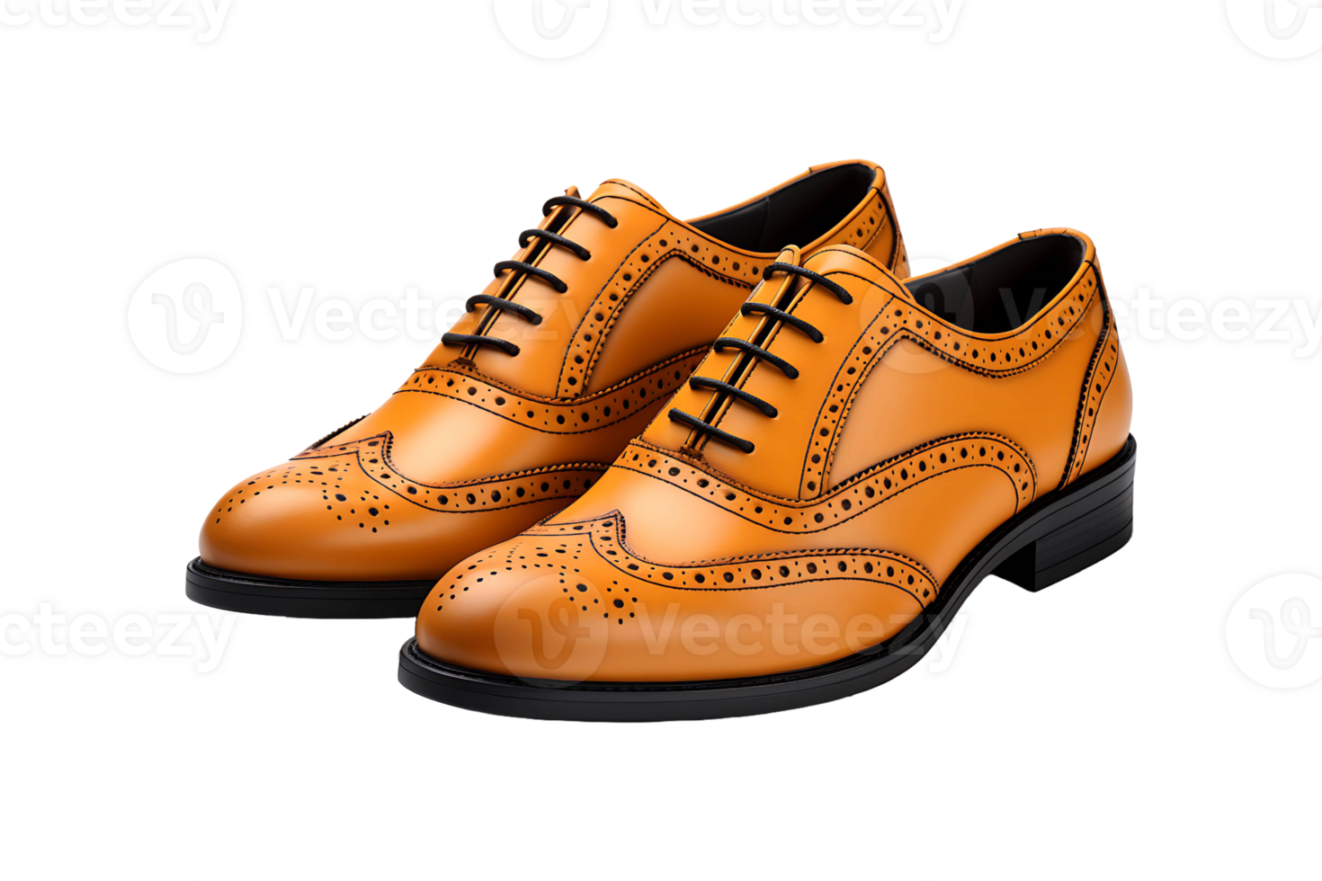 Gents Shoes isolated on transparent background. png
