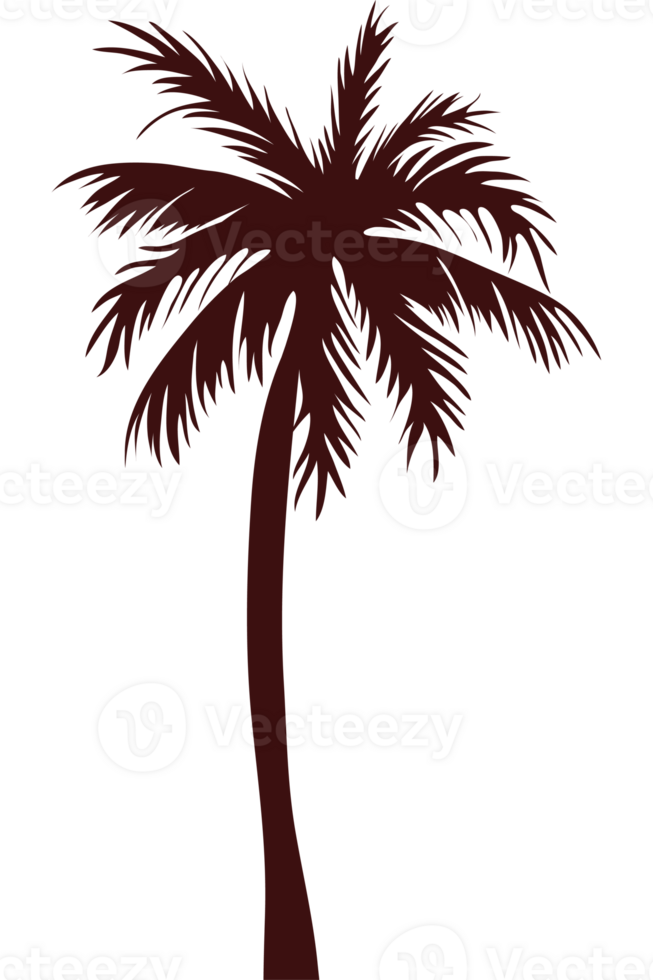Palm tree clip art png