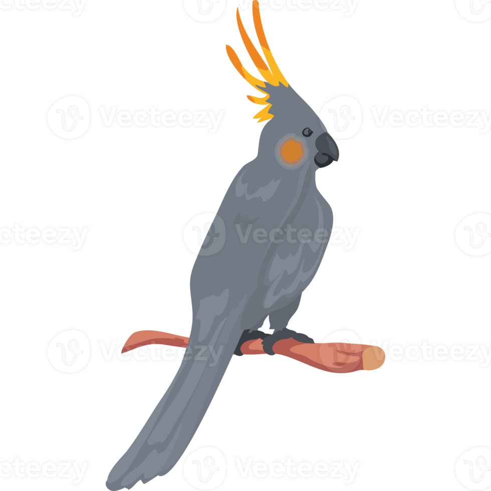 A cartoon grey parrot sitting on a branch png