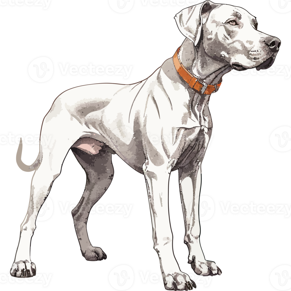 A drawing of a white dog with an orange collar png