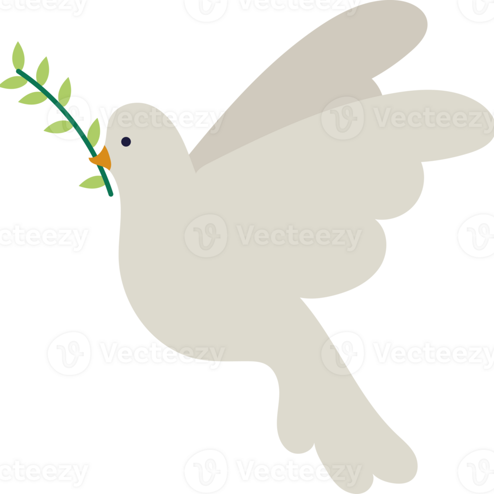 A white dove with an olive branch in its beak png