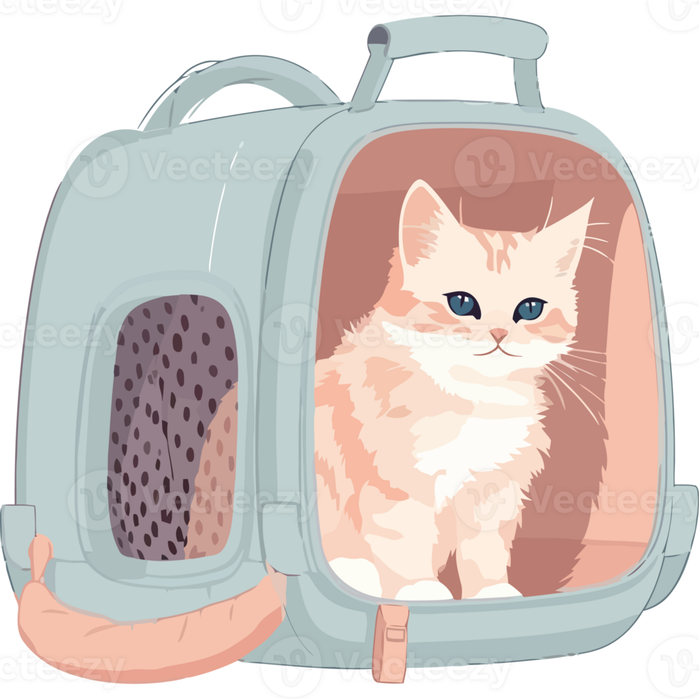 A cat in a small blue suitcase png