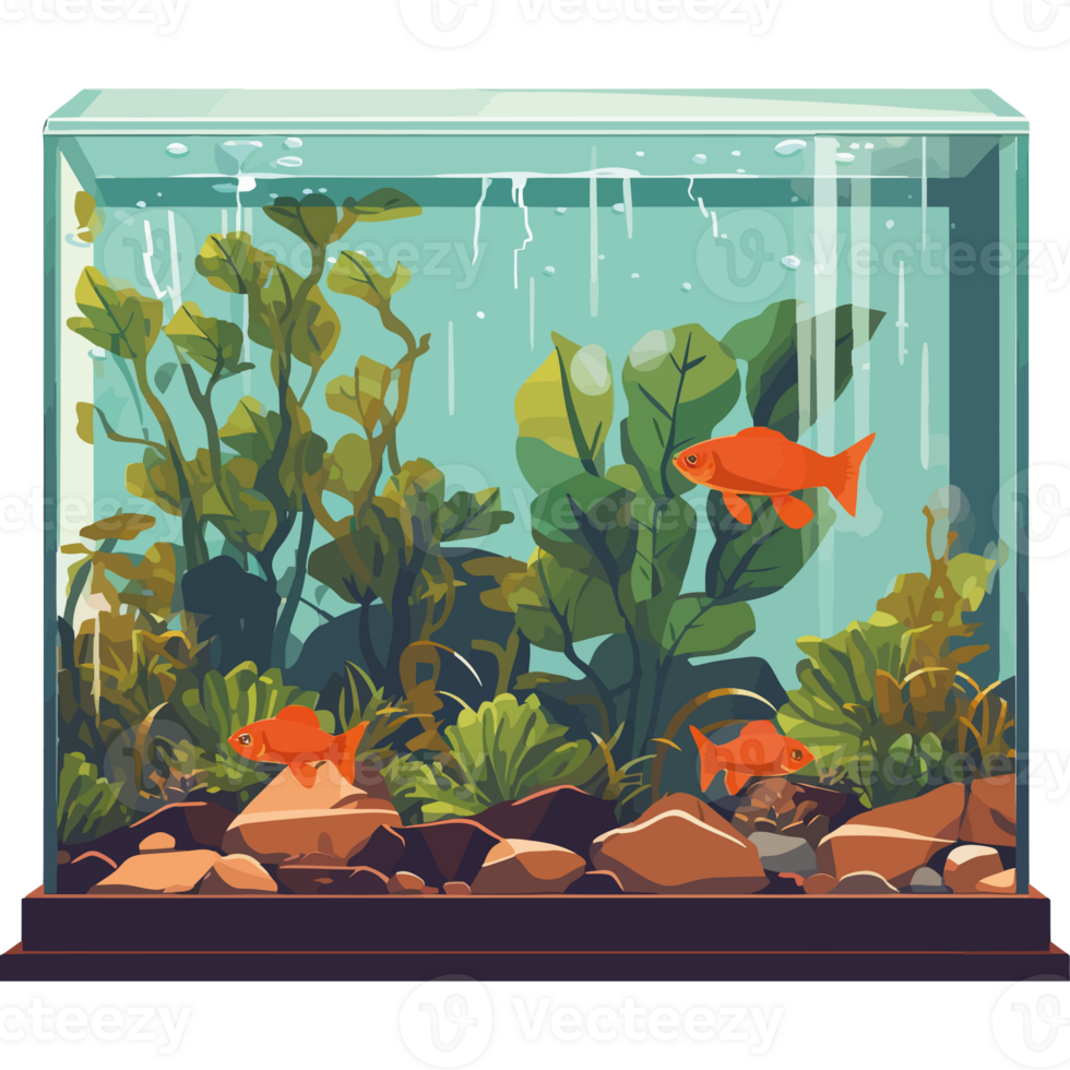 Fish tank with plants and rocks png
