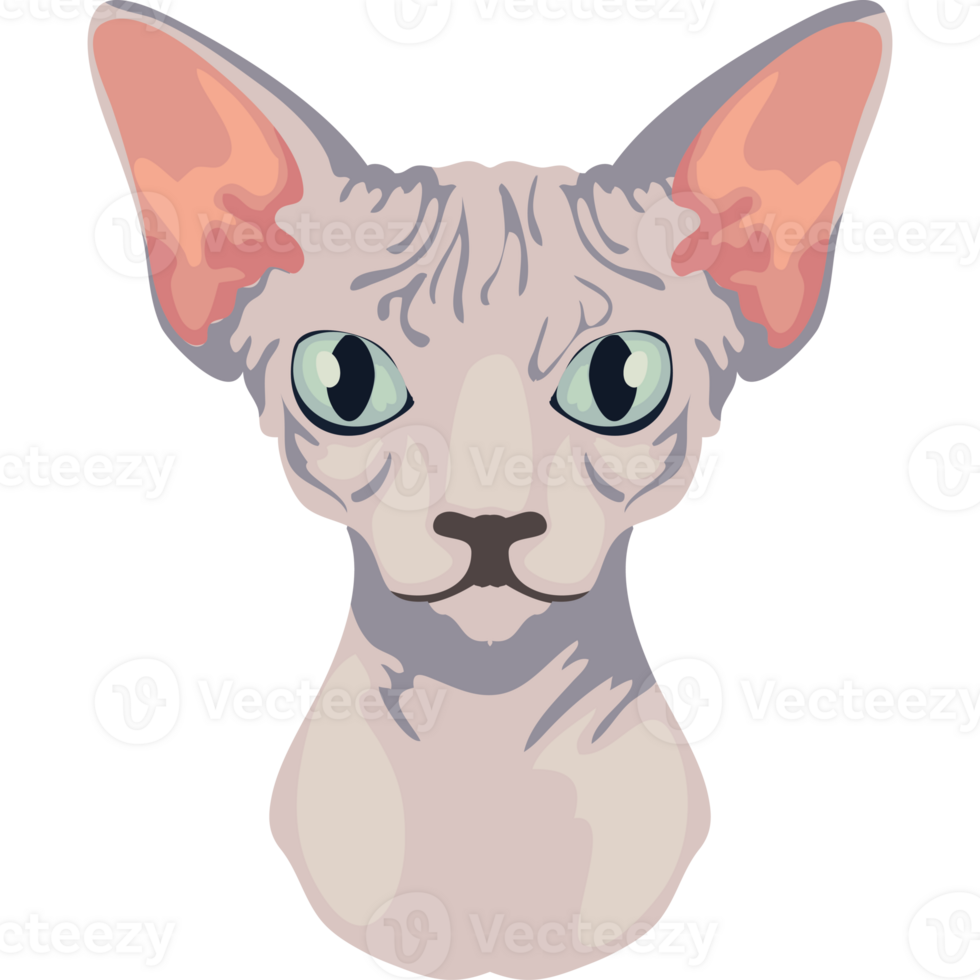A sphytte cat with green eyes and big ears png