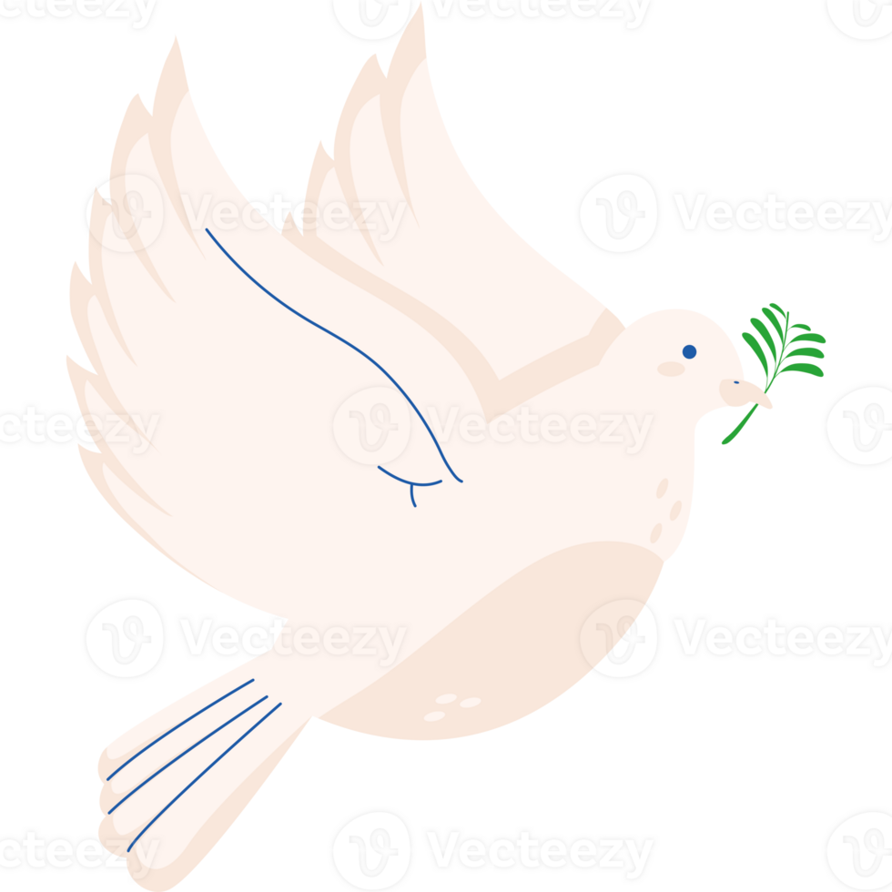 A white dove with a green branch in its beak png