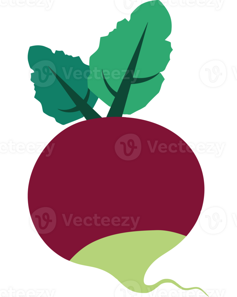 A red beet with green leaves on it png