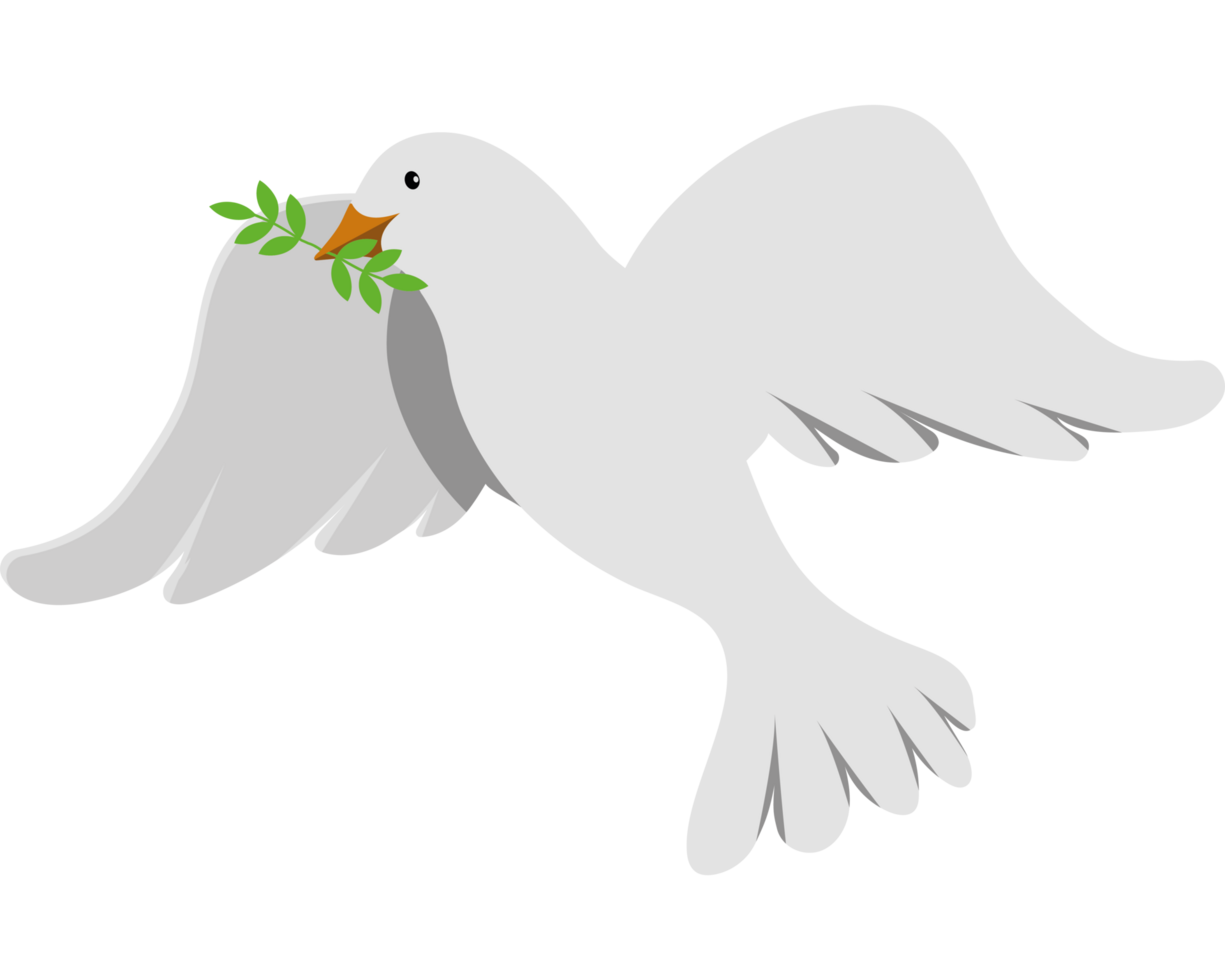 A white dove with an olive branch in its beak png