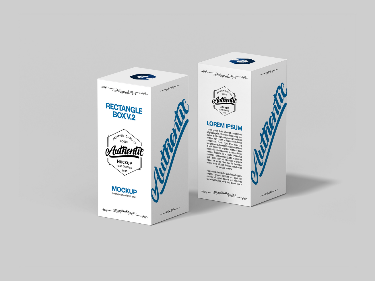 3D Rectangle Product Box Mock Up or Blank Square Tall Box Mockup psd