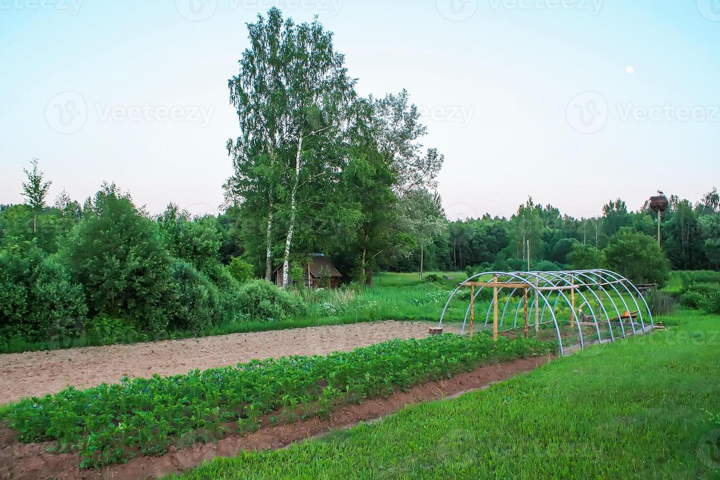 Landscape in the countryside. Scenic summer nature view in Latvia, East Europe. photo