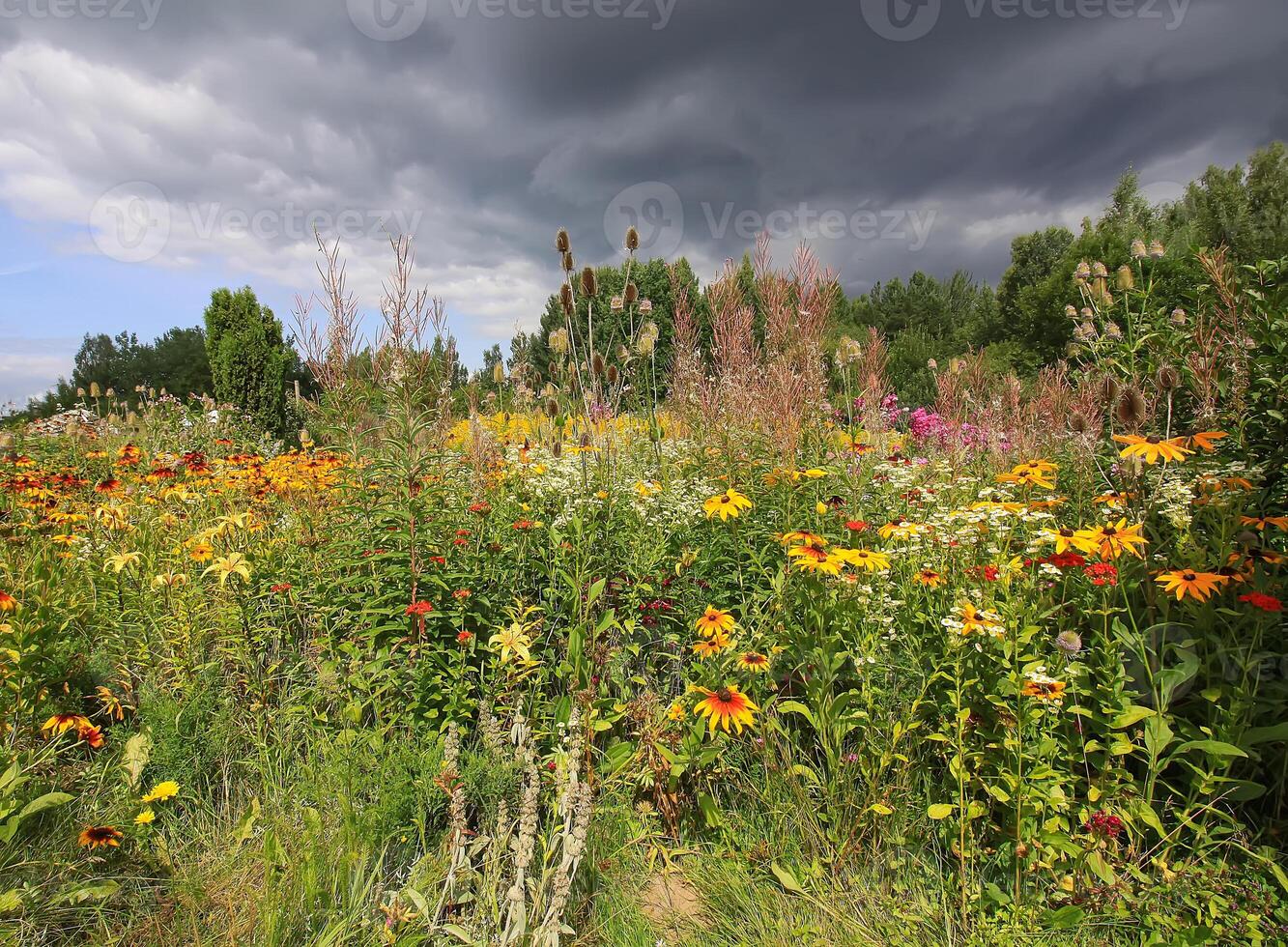 Landscape in the countryside. Scenic summer nature view in Latvia, East Europe. photo
