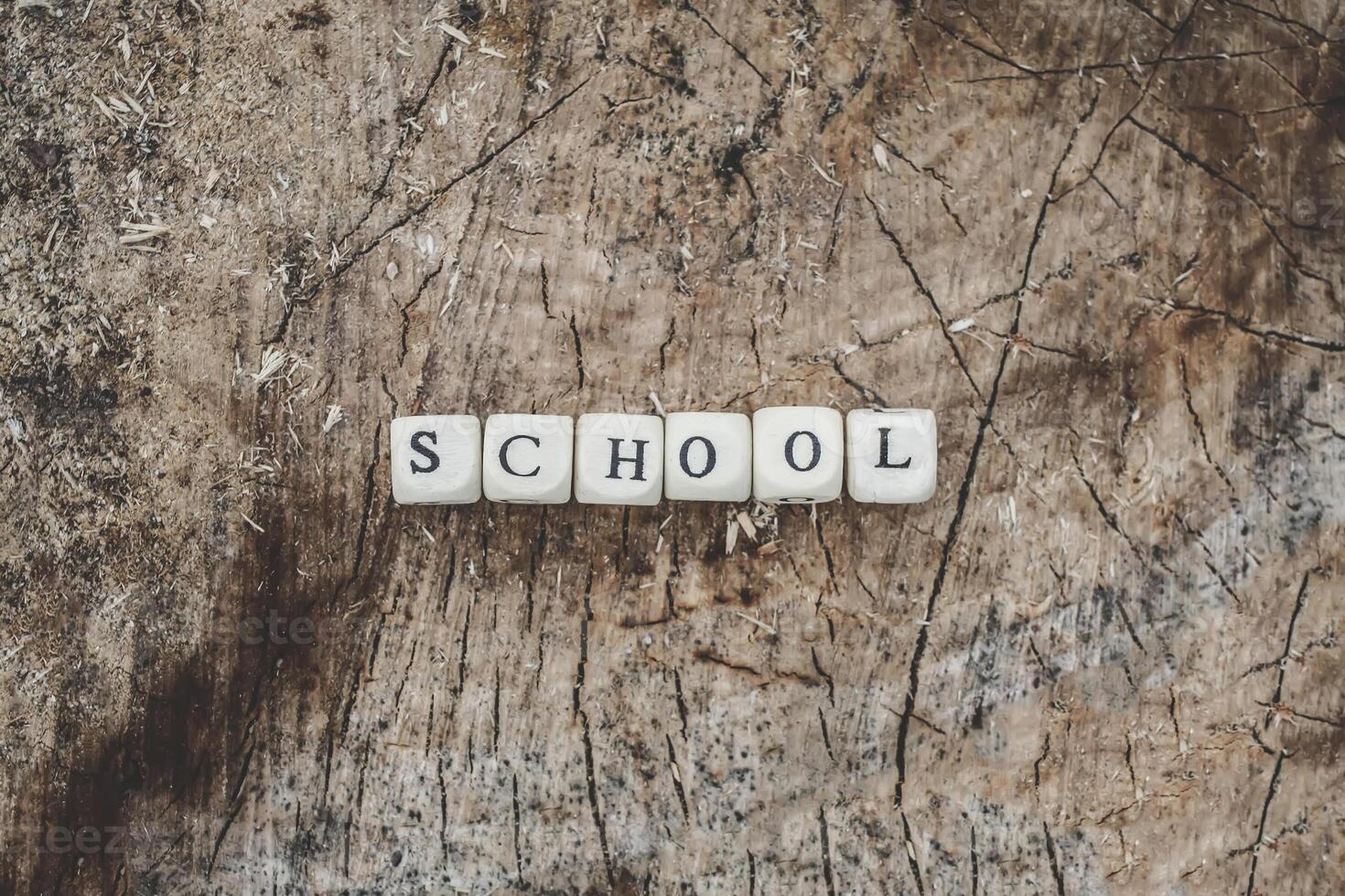 Word school of wooden alphabet beads on a tree stump surface in the forest. photo