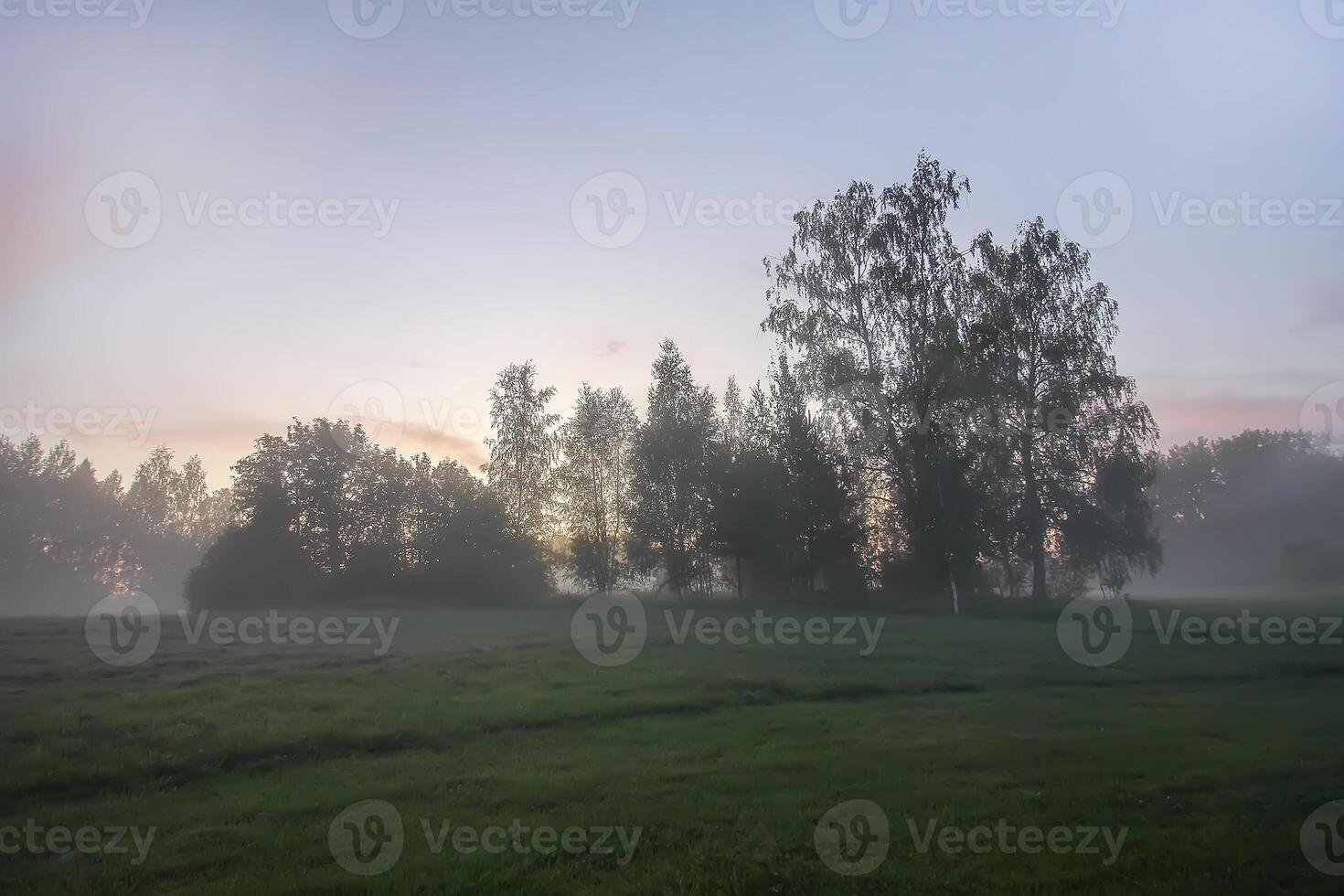 Evening mist on a field in countryside at summer. photo