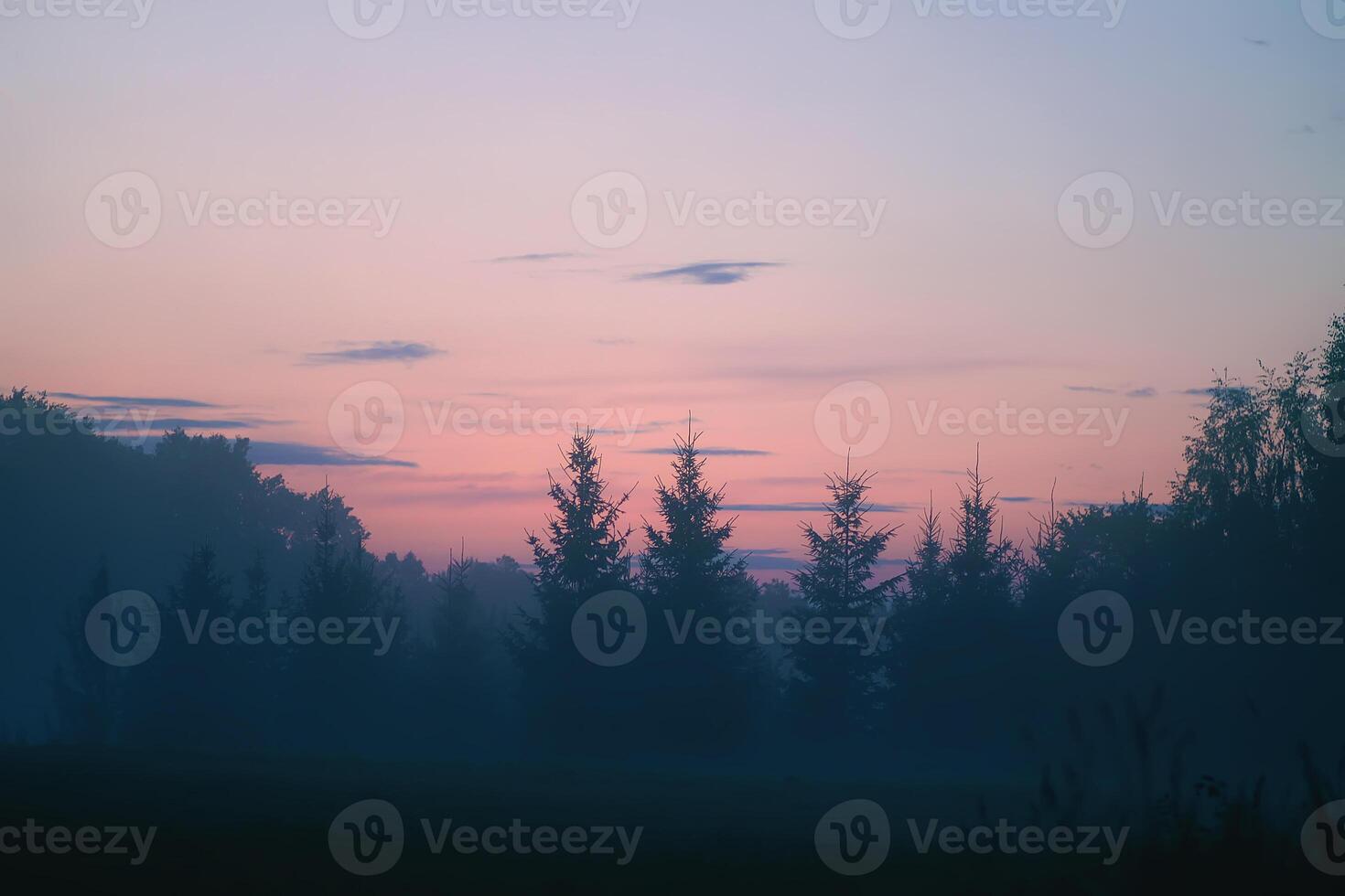 Evening mist on a field in countryside at summer. photo
