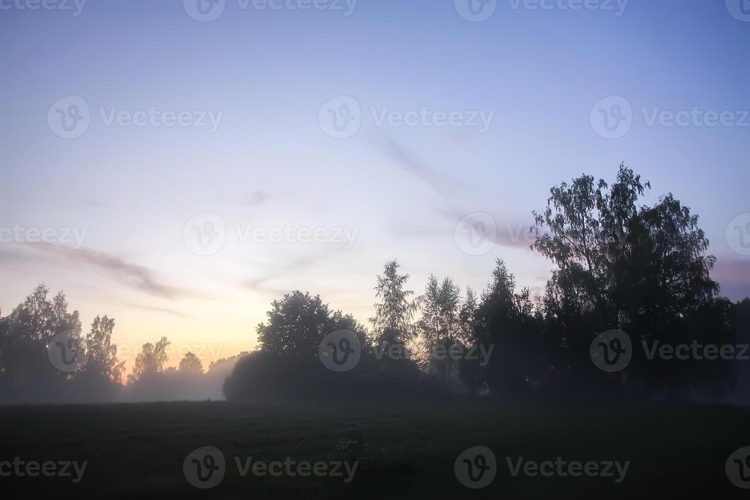 Evening mist on a field in countryside at summer. photo