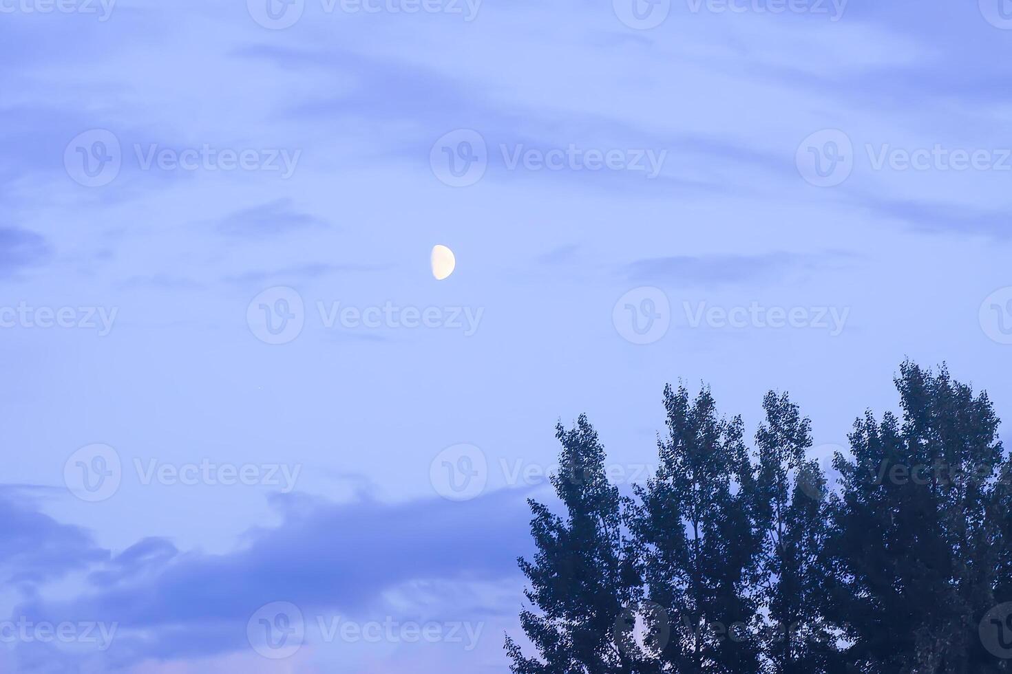 Evening mist on a field in countryside at summer. photo