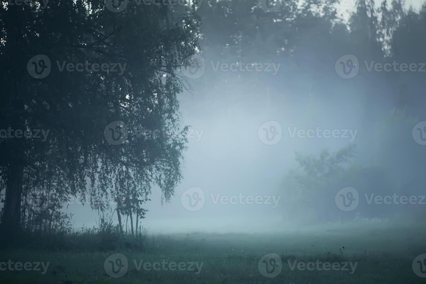 Evening mist on a field in countryside at summer. photo