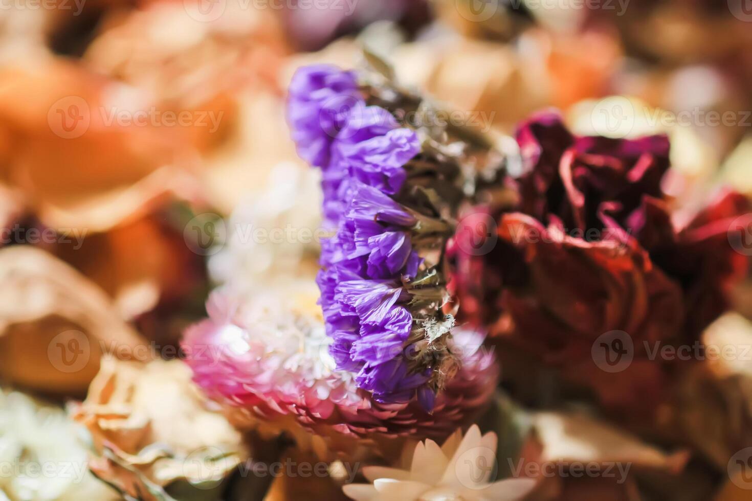 Dried flowers and petals. Floral decor. photo