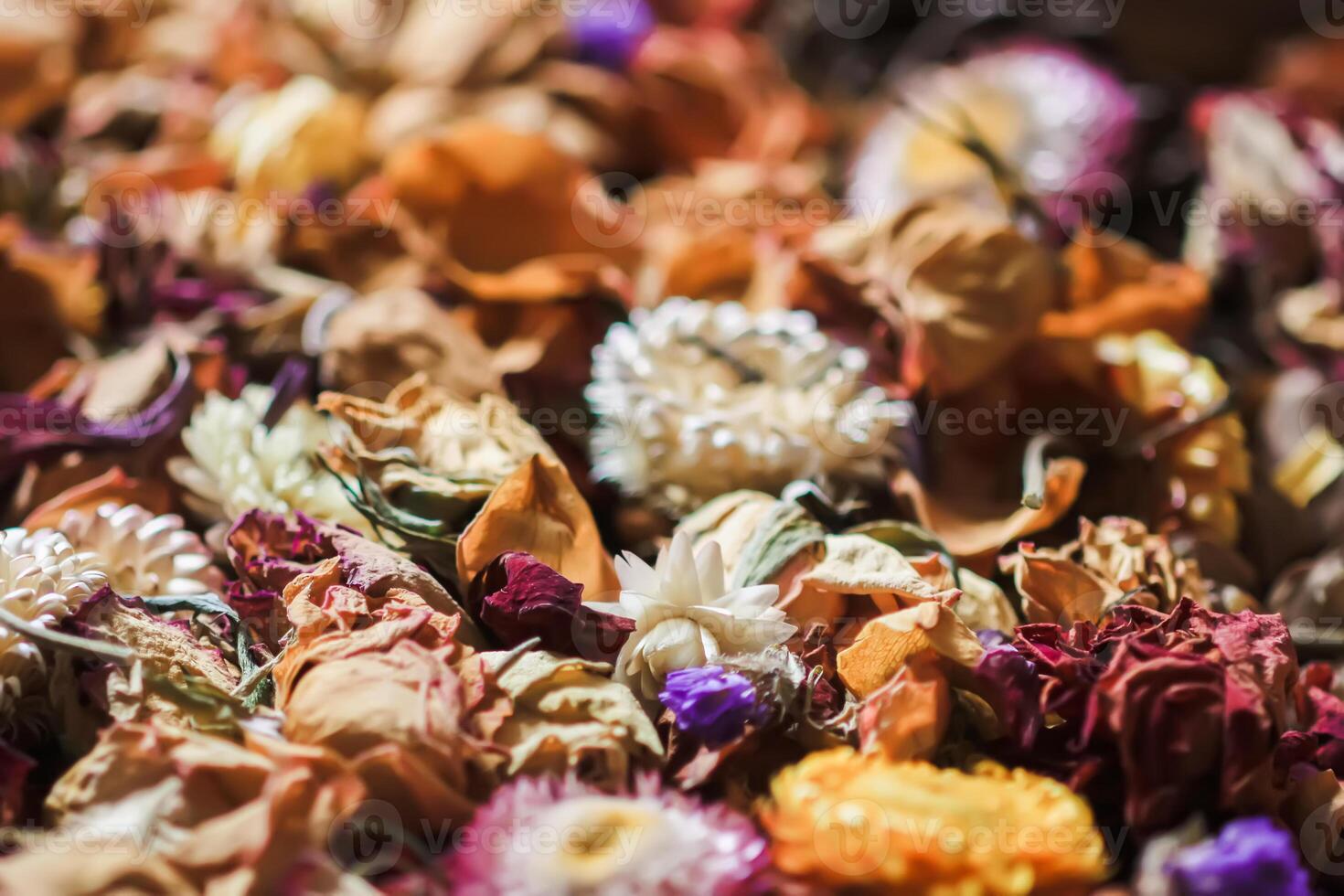Dried flowers and petals. Floral decor. photo
