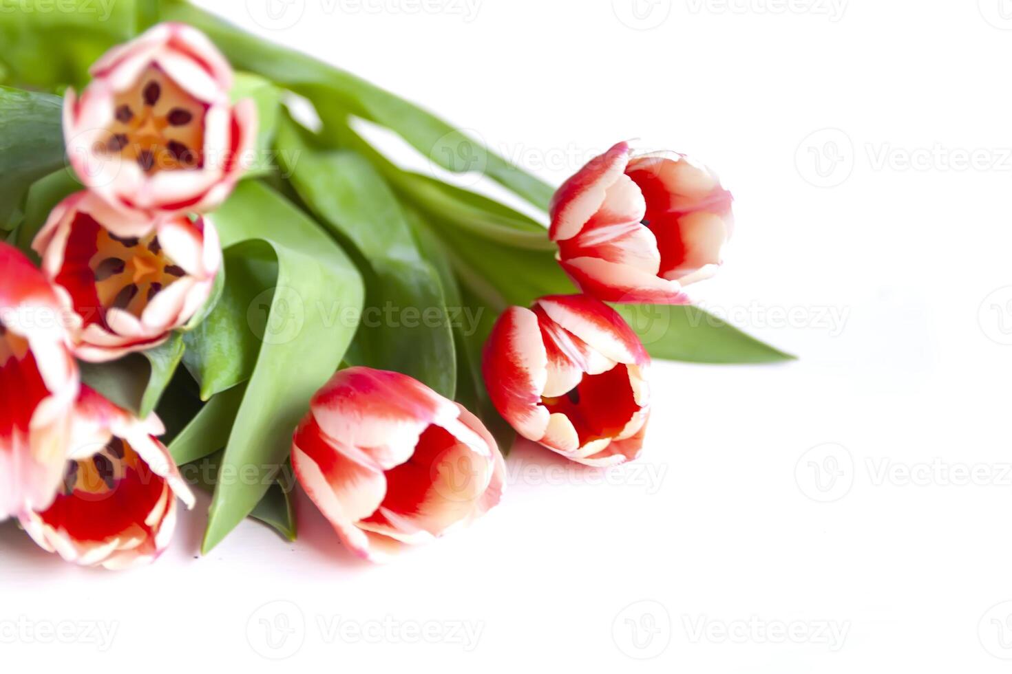 tulipanes ramo. fiesta floral decoración. foto