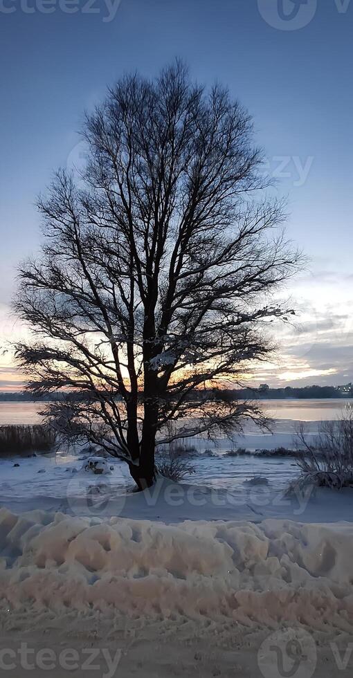 Scenic winter landscape. Sunset scenic view. photo