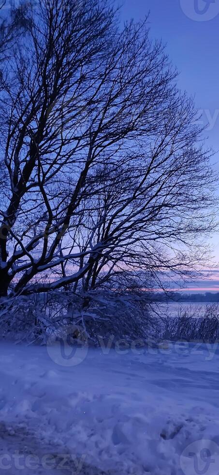 Scenic winter landscape. Sunset scenic view. photo