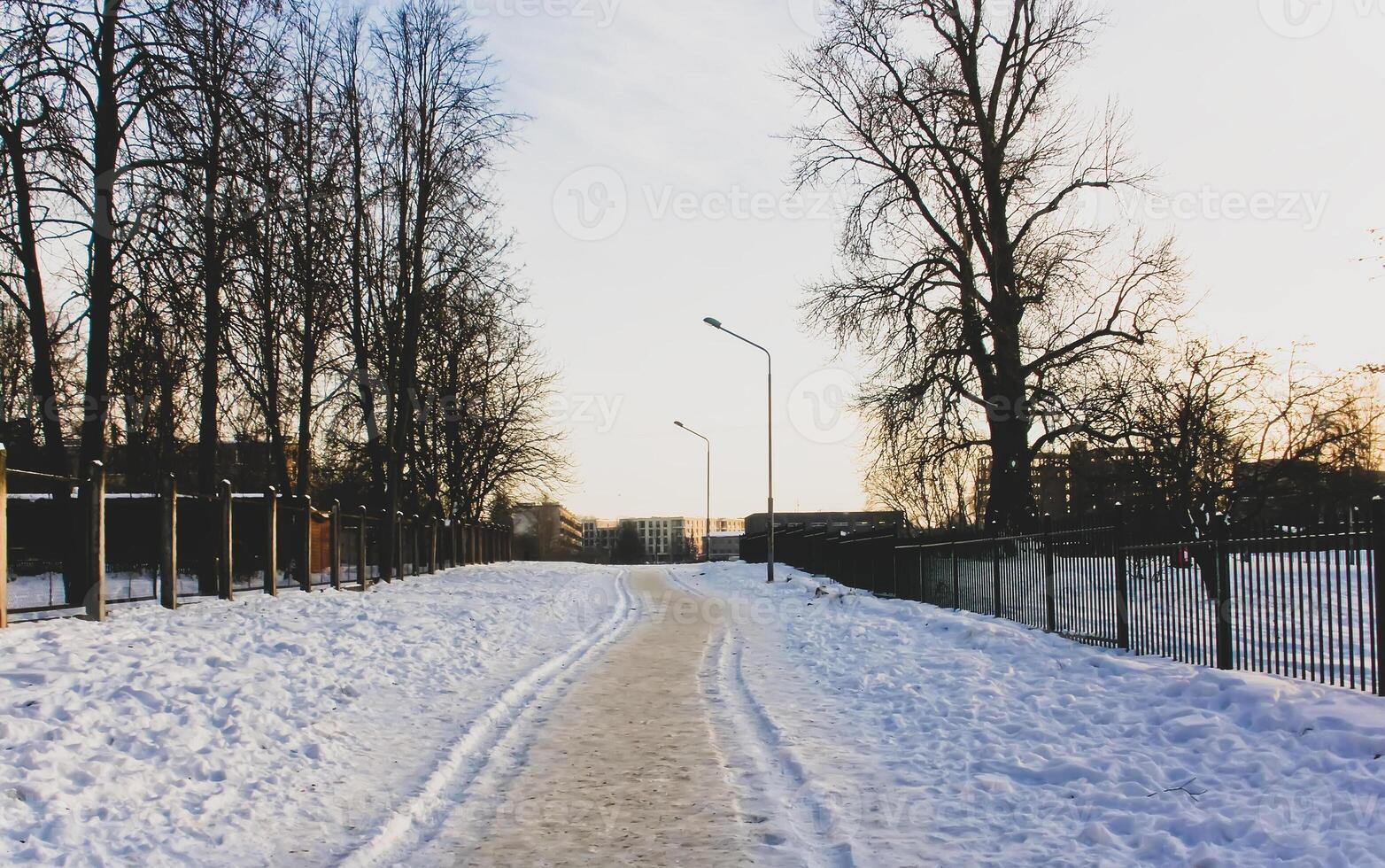 Scenic winter landscape. Sunset scenic view. photo