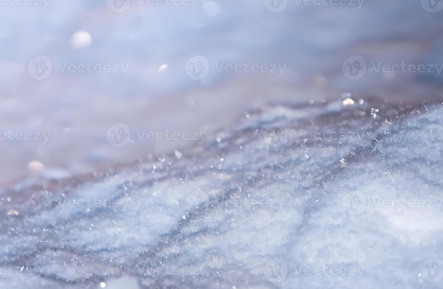 Seasonal nature background. Winter nature details. photo
