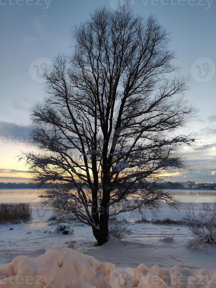 Scenic winter landscape. Sunset scenic view. photo