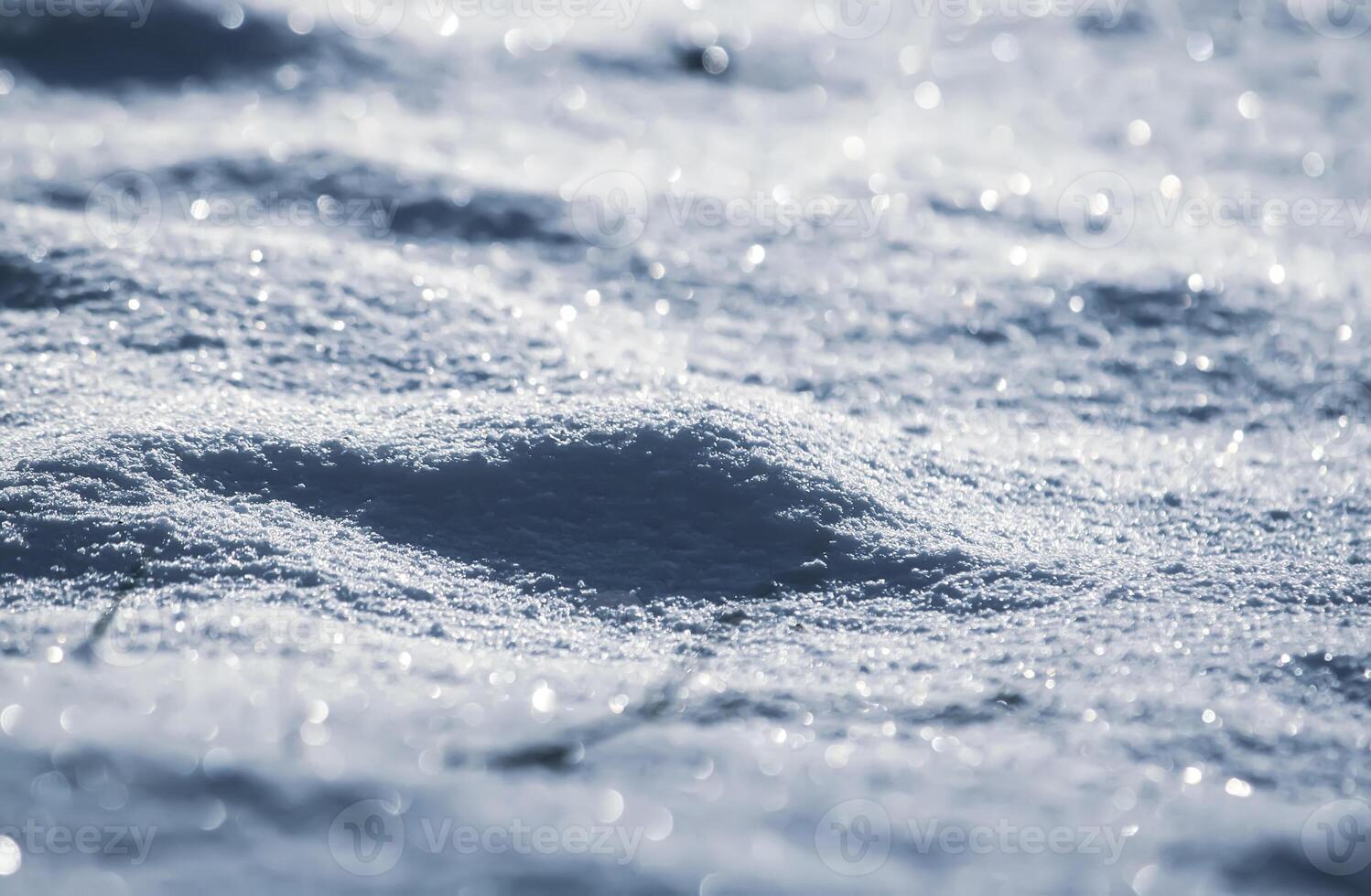 Seasonal nature background. Winter nature details. photo