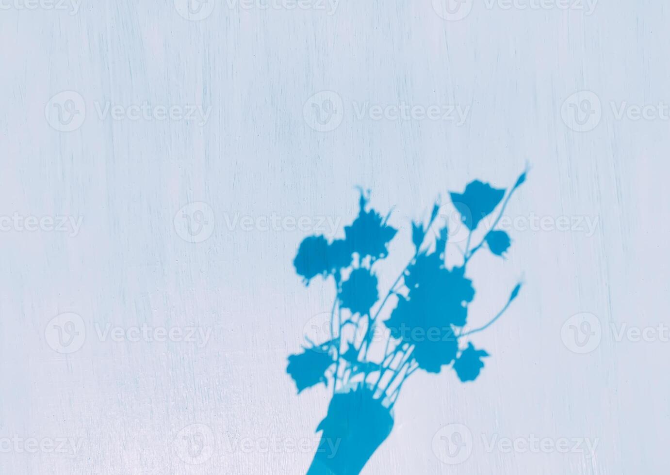 Light and shadow on white surface. photo