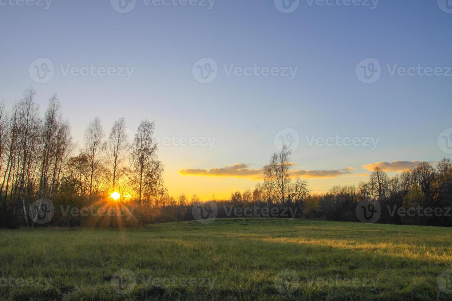 Scenic nature view. Autumn landscape in Latvia. photo