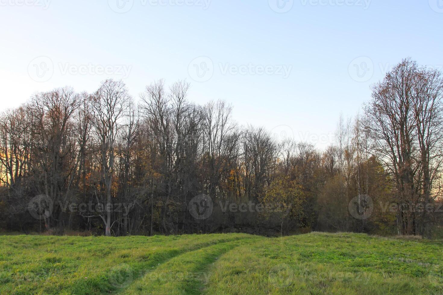 Scenic nature view. Autumn landscape in Latvia. photo