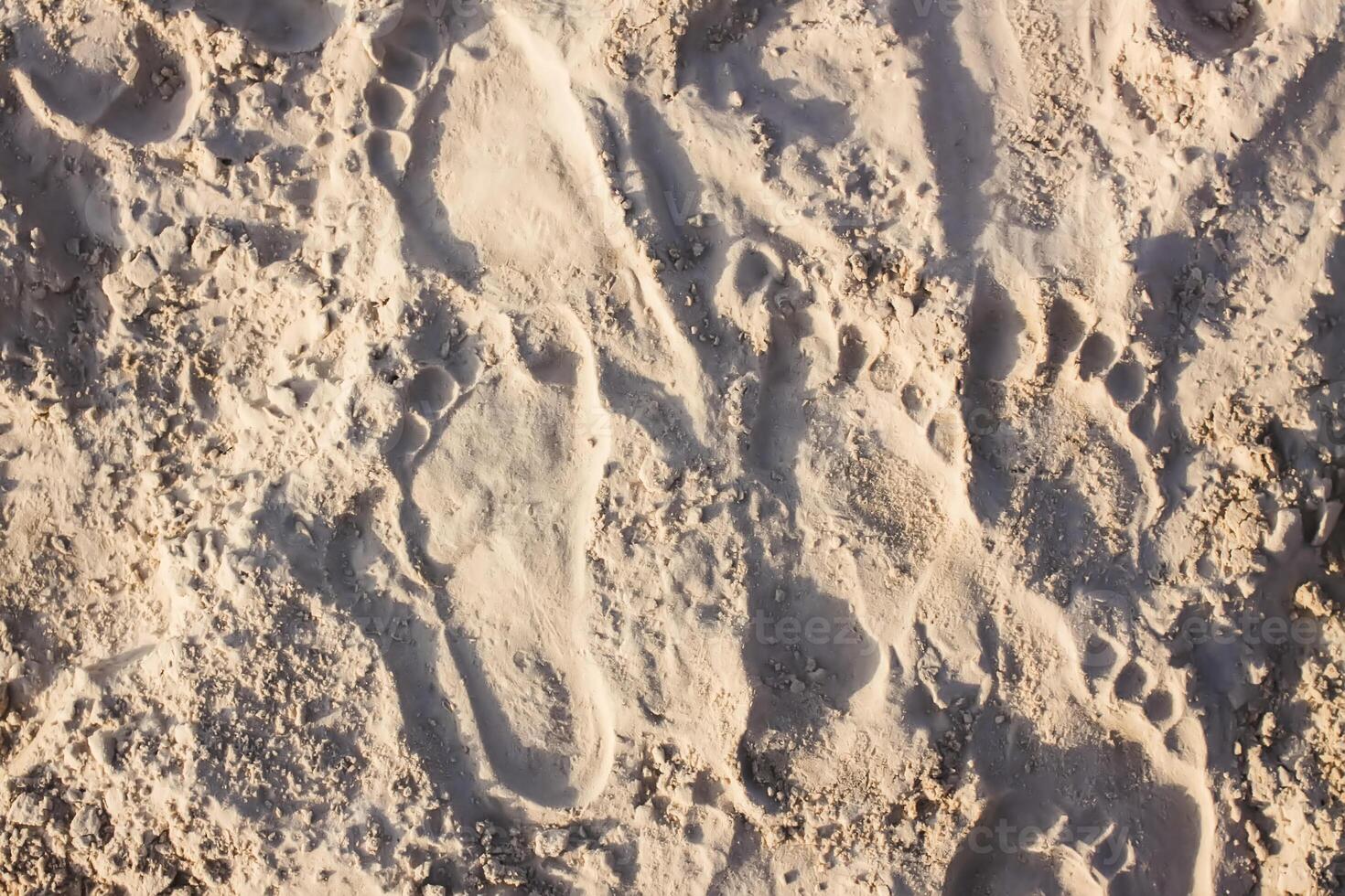 Sandy beach surface. Wet sand and foot imprints photo