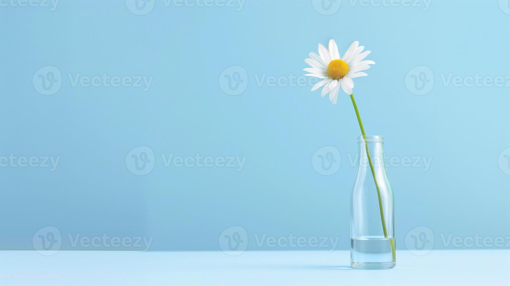 Single White Daisy in Clear Glass Vase on Minimalist Blue Background, Perfect for Spring and Summer Themes, Nature and Floral Design Concepts, Minimalism in Modern Decor, Botanical Art Display photo
