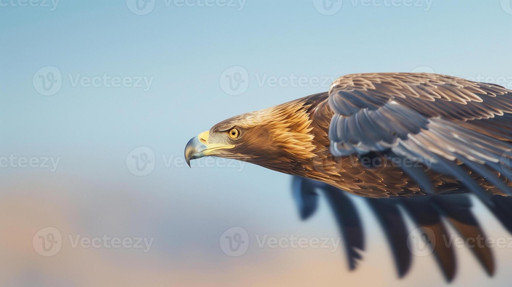 Majestic Golden Eagle in Flight Against Clear Blue Sky in Natural Habitat Perfect for Wildlife Photography and Nature Enthusiasts photo