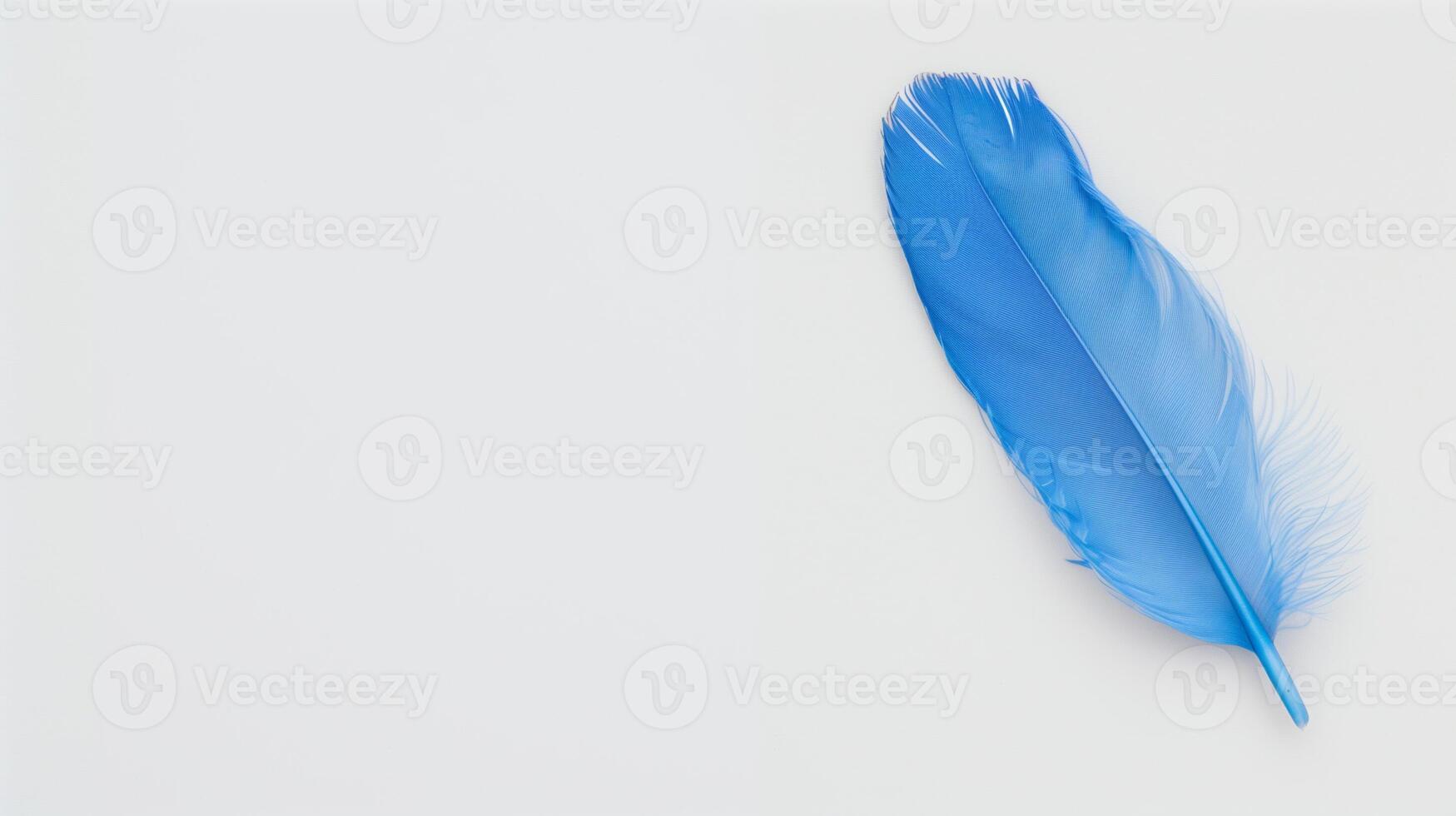 Bright Blue Feather on Minimalist White Background for Clean and Modern Design Concepts, Ideal for Nature and Bio Diversity Themes, High-Quality Close-Up Image for Advertising and Decorative Use photo