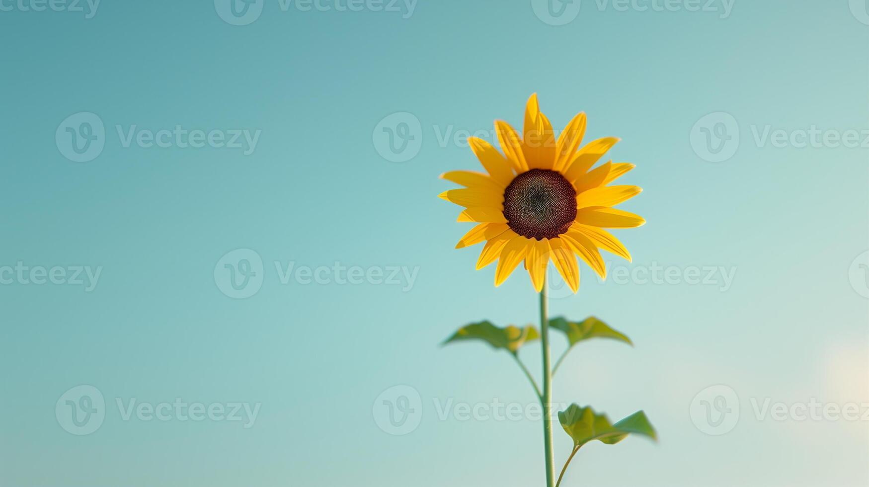 Photorealistic Close-Up of a Single Sunflower in Full Bloom Against a Clear Blue Sky on a Sunny Day photo