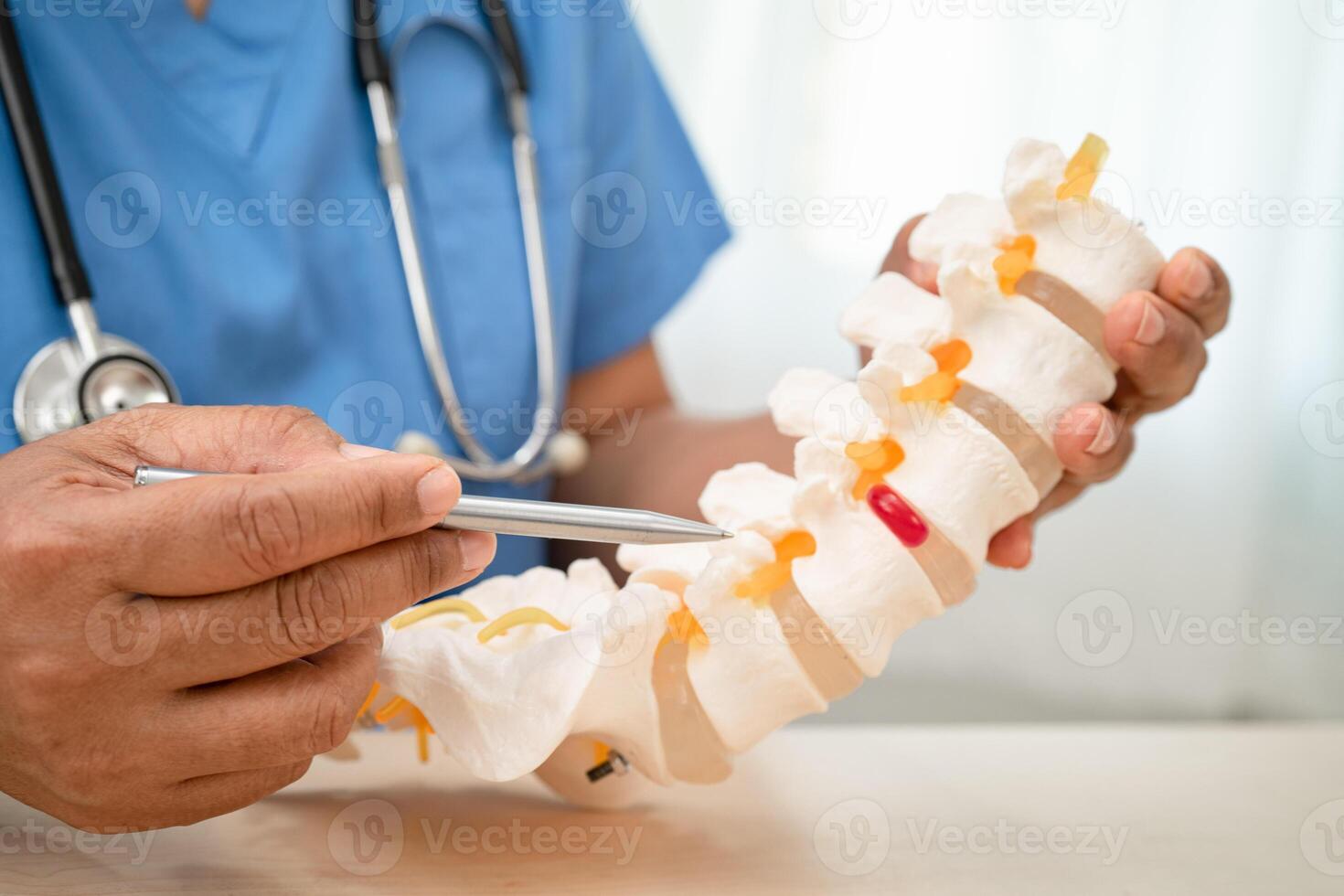 Doctor with lumbar vertebra bone skeleton and nerve model for treatment in the orthopedic department. photo