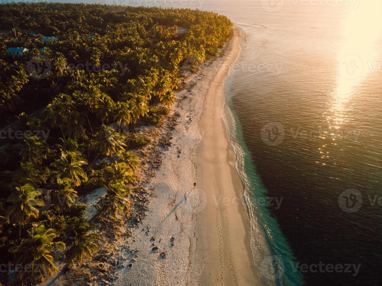 Sunset on Maldives beach with palms trees and ocean. Drone view photo