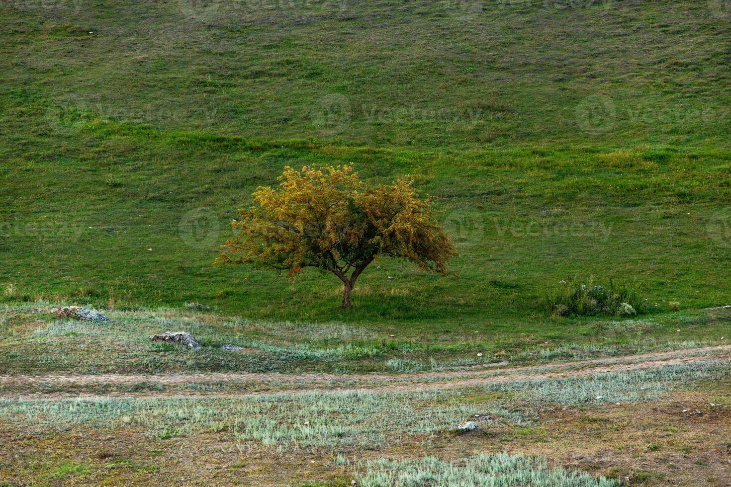 Rural landscape in the Republic of Moldova. Photo with beautiful nature from the country in Eastern Europe.