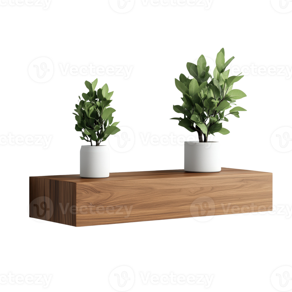 Simple Elegance Two potted plants adorn a wooden shelf, creating a minimalist and inviting atmosphere. png