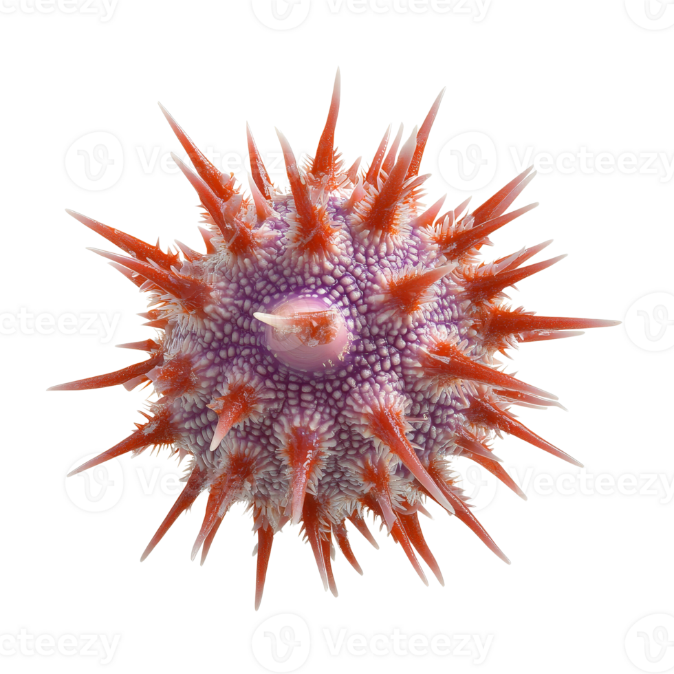 Explore the Beauty of Microscopic Life A Stunning Look at a Vibrant Microbe with Intricate Details and Texture png