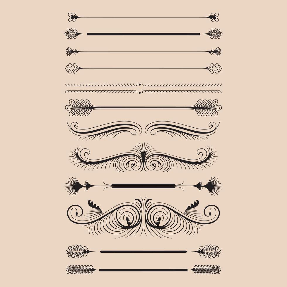 Elegant Black and White Design Elements vector